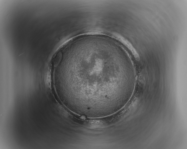 X0000103251456200809111605