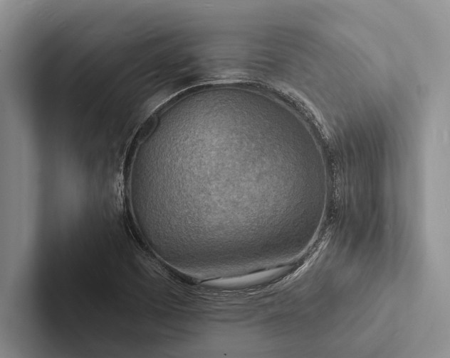 X0000103251457200809111605