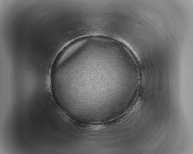 X0000103251460200809111605