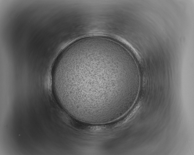 X0000103251461200809111605