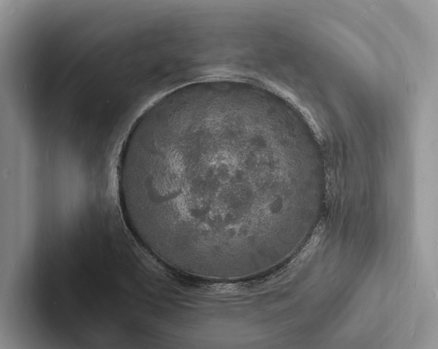 X0000103251463200809111605