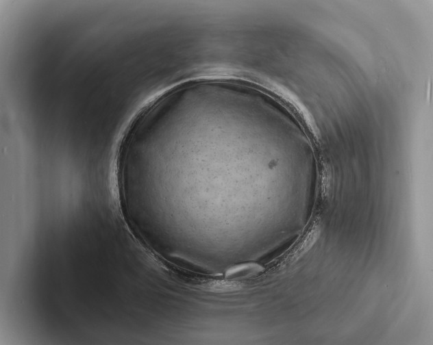 X0000103251464200809111605