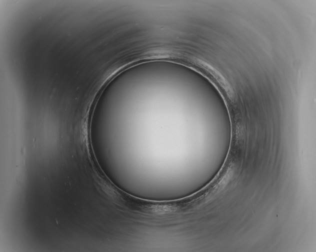 X0000103251465200809111605