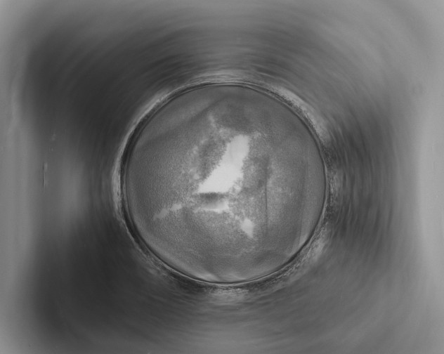 X0000103251466200809111605