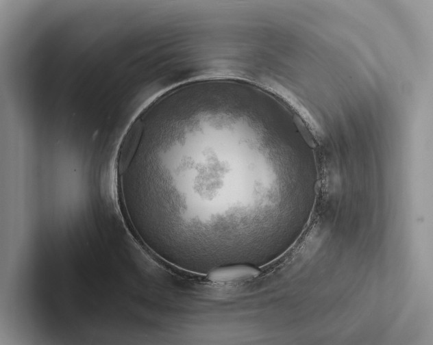 X0000103251468200809111605