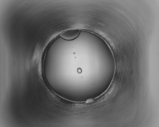 X0000103251469200809111605