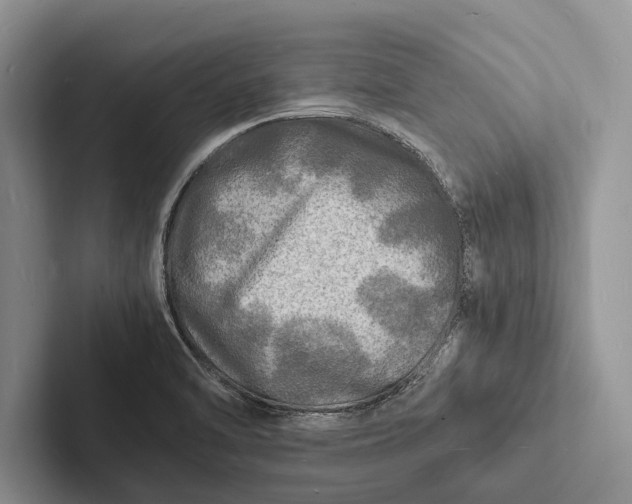 X0000103251470200809111605