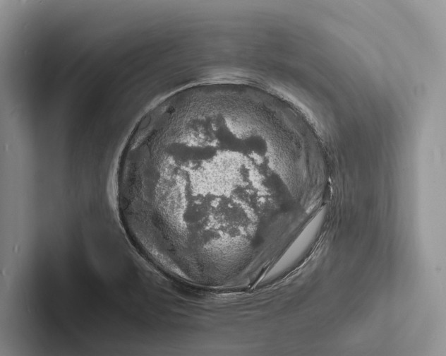 X0000103251471200809111605