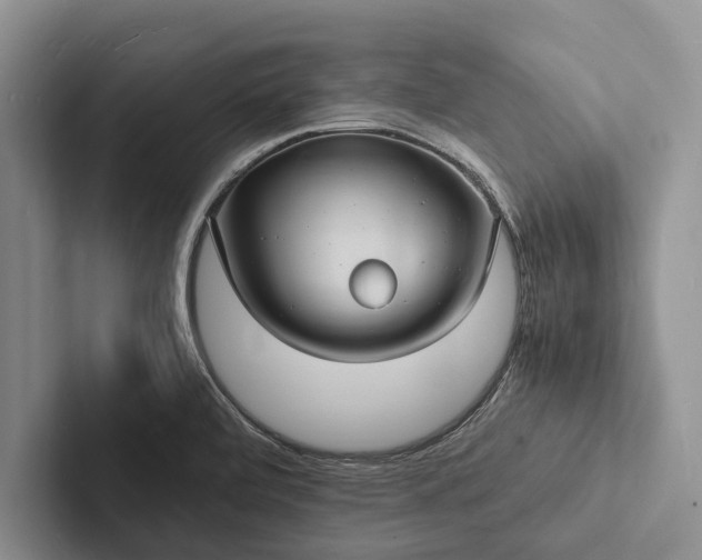 X0000103251472200809111605