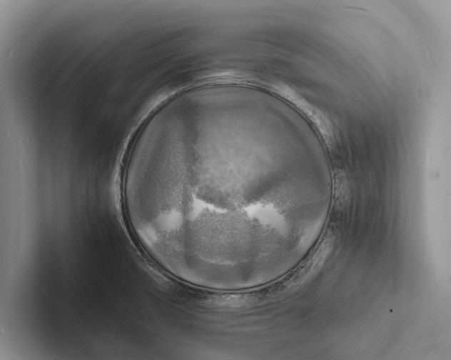 X0000103251474200809111605