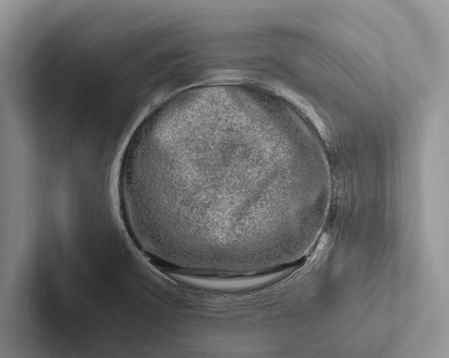 X0000103251475200809111605
