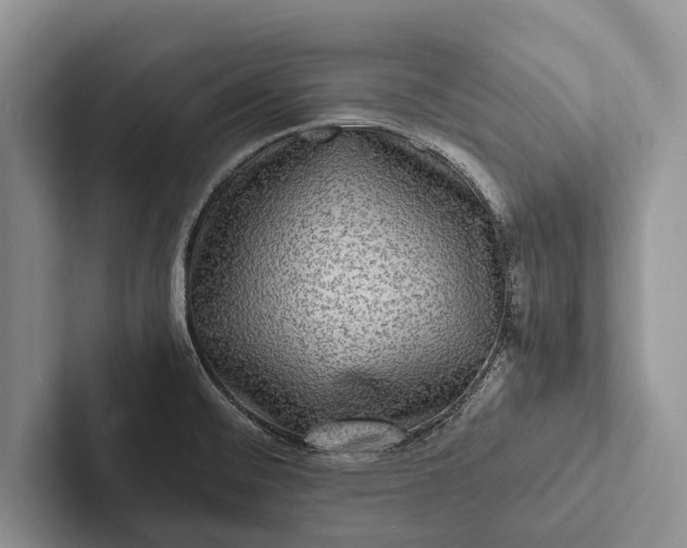 X0000103251476200809111605