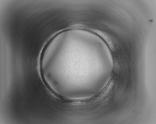 X0000103251478200809111605