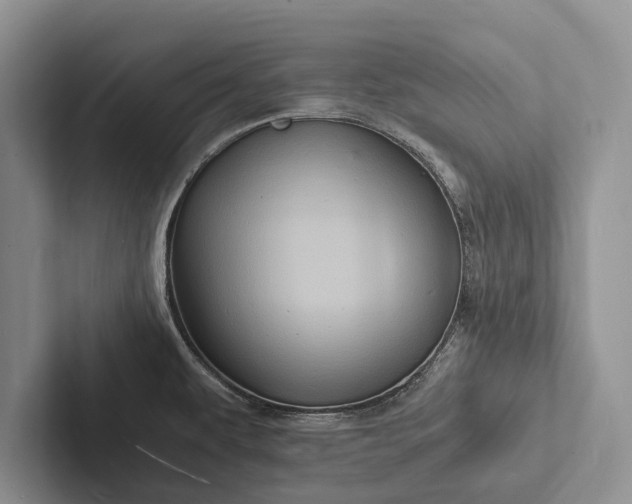X0000103251479200809111605