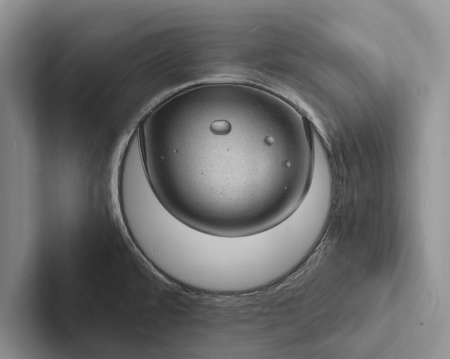 X0000103251480200809111605