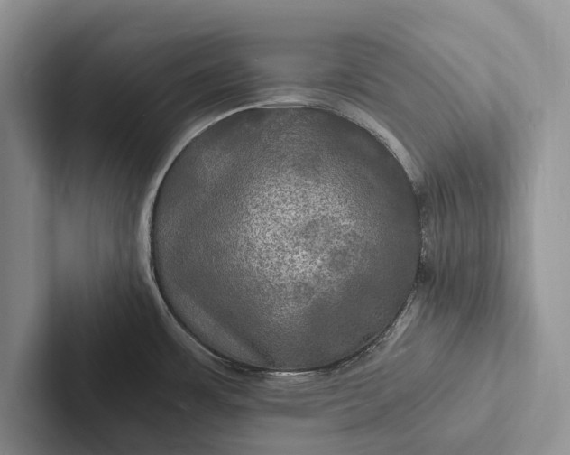X0000103251483200809111605