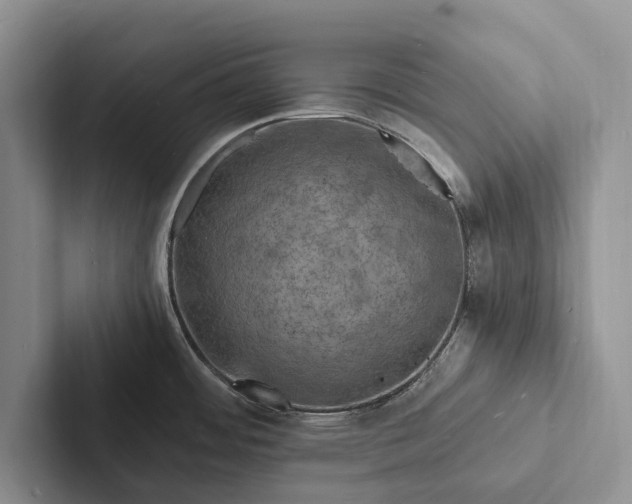 X0000103251484200809111605