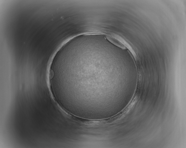X0000103251485200809111605