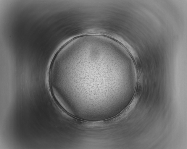 X0000103251486200809111605