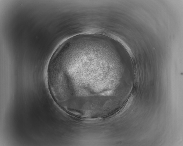 X0000103251487200809111605