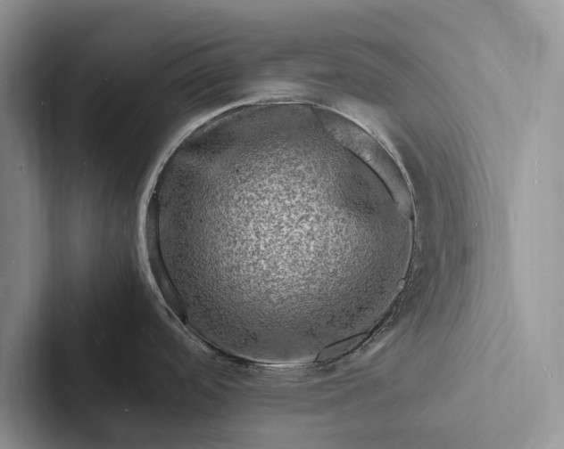 X0000103251488200809111605