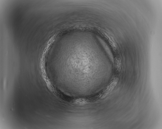 X0000103251489200809111604