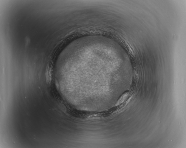 X0000103251490200809111604