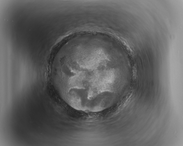 X0000103251494200809111604