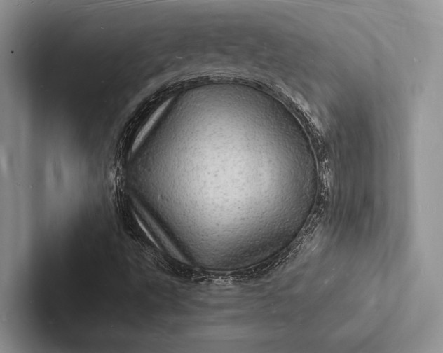 X0000103251495200809111604