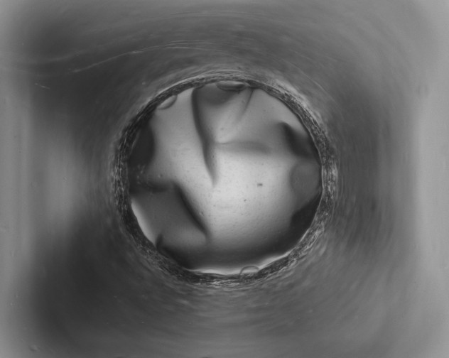 X0000103251496200809111604