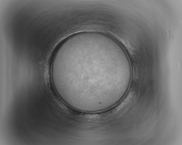 X0000103251498200809111604