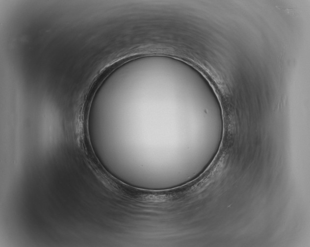 X0000103251499200809111604
