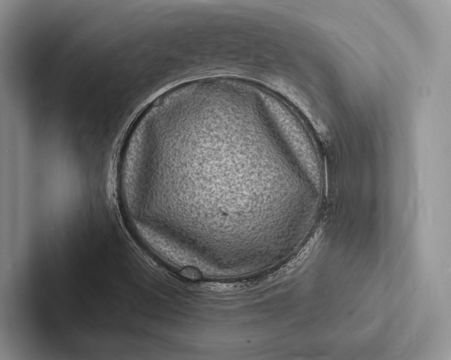 X0000103251500200809111604