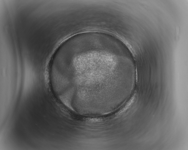 X0000103251501200809111604