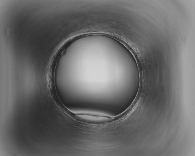 X0000103251502200809111604
