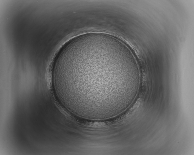 X0000103251503200809111604