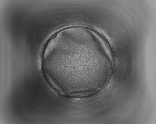 X0000103251504200809111604