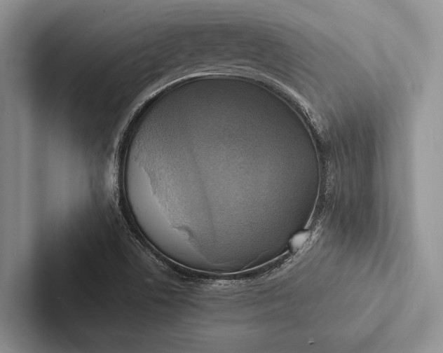X0000103251506200809111604