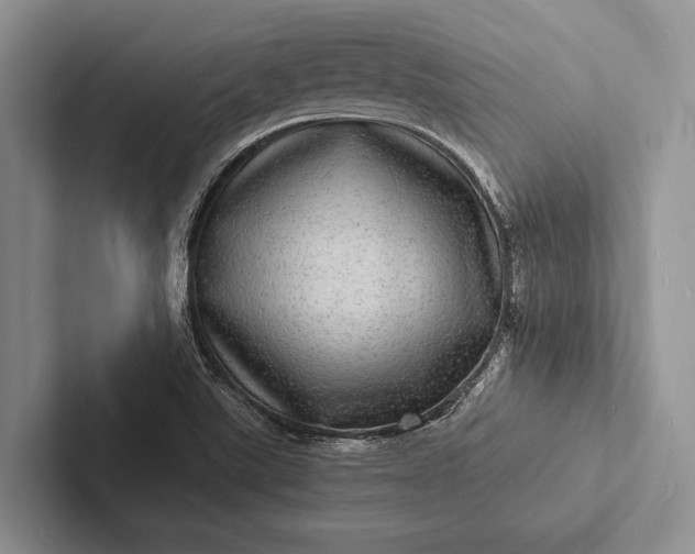 X0000103251507200809111604