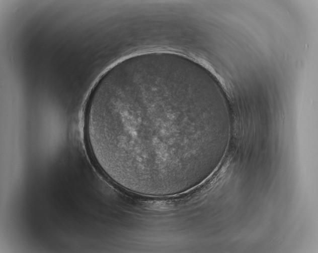 X0000103251508200809111604