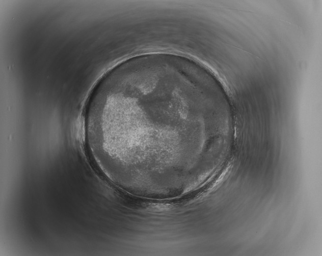 X0000103251509200809111604