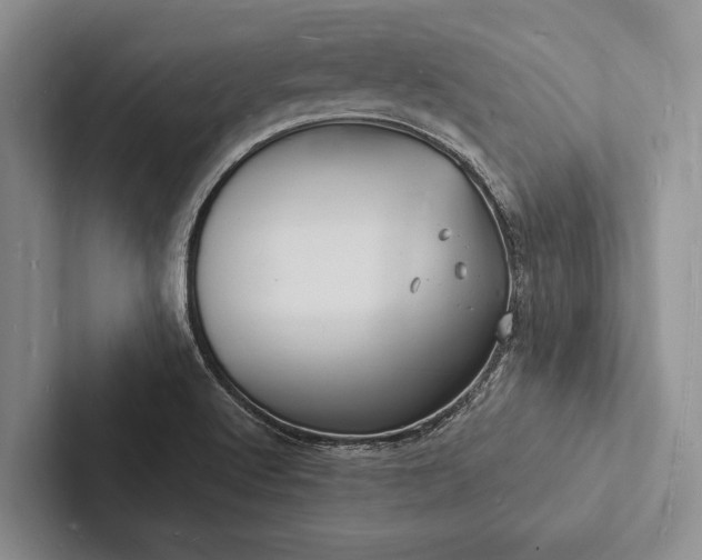 X0000103251512200809111604