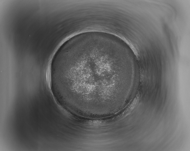 X0000103251515200809111604