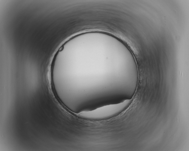 X0000103251516200809111604