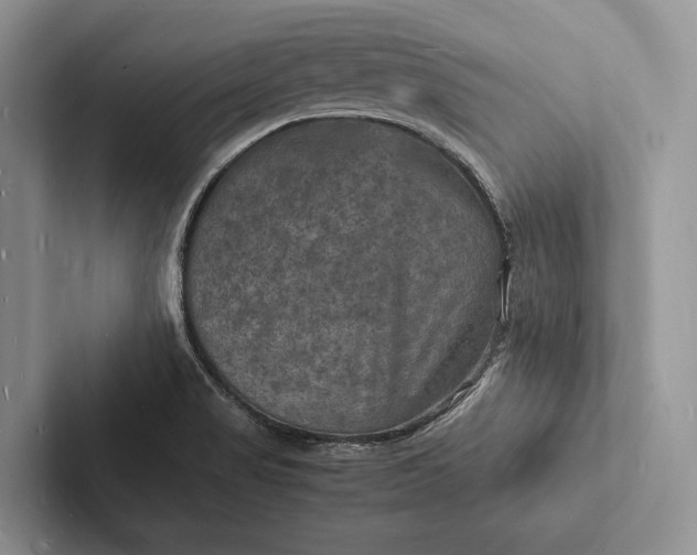X0000103251517200809111604