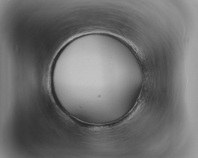 X0000103251518200809111604