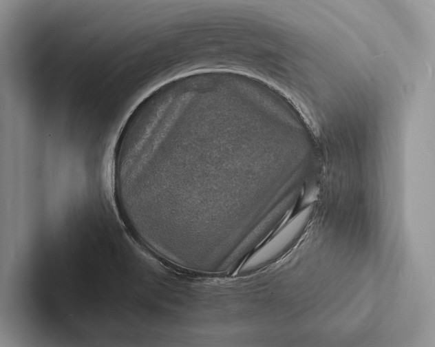 X0000103251519200809111604