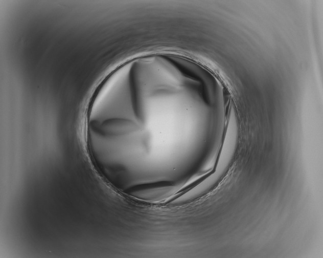 X0000103251520200809111604