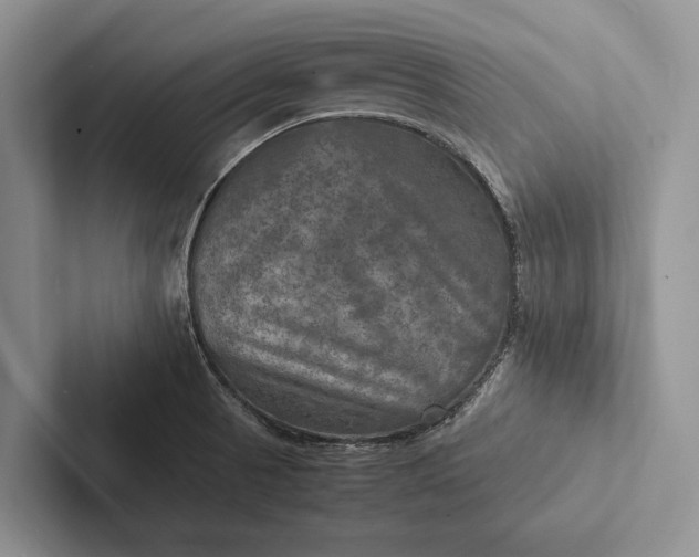 X0000103251521200809111604