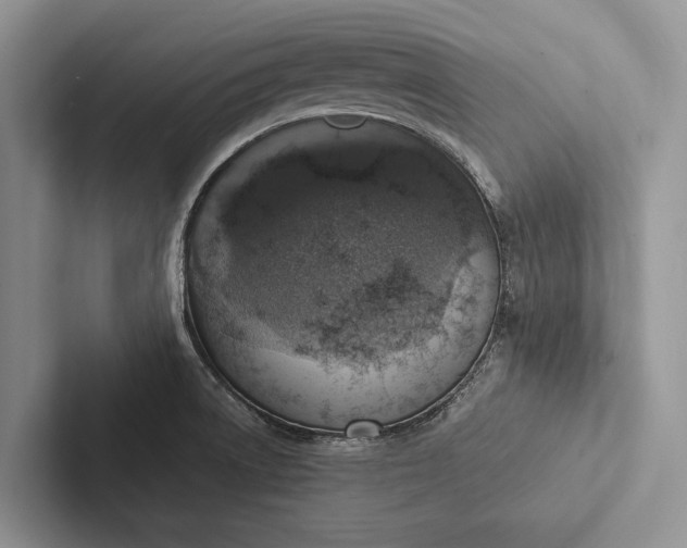 X0000103251522200809111604